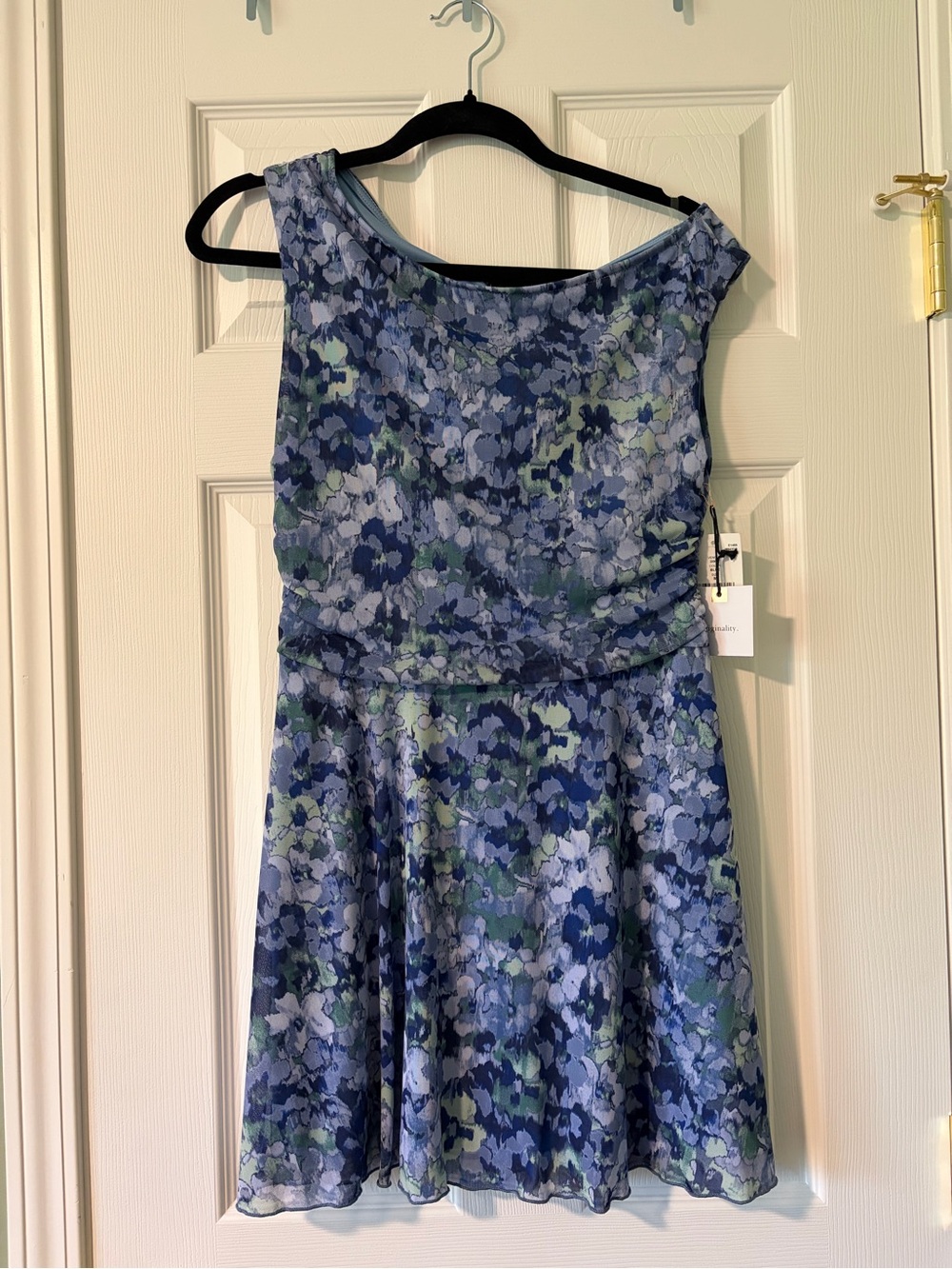 Floral Scoop Neck Mini Dress in Blue and Green